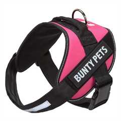 Bunty Yukon Harness - Pink